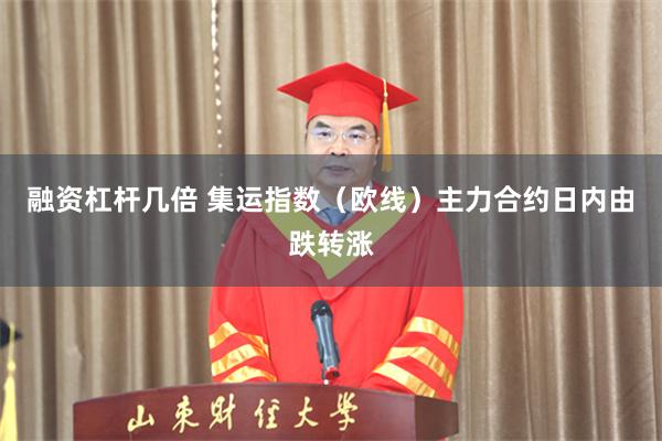 融资杠杆几倍 集运指数（欧线）主力合约日内由跌转涨