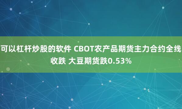 可以杠杆炒股的软件 CBOT农产品期货主力合约全线收跌 大豆期货跌0.53%