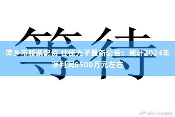 萍乡市股票配资 仕佳光子最新公告：预计2024年净利润6500万元左右