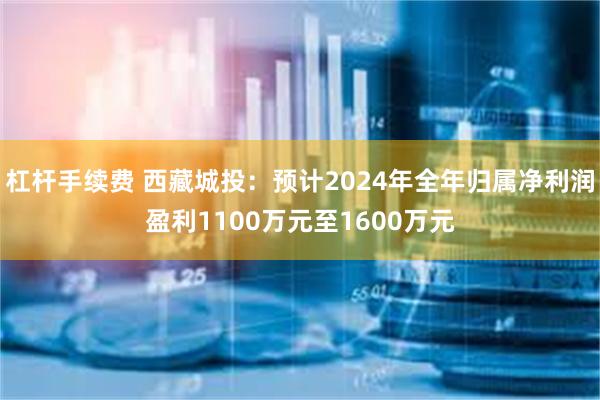 杠杆手续费 西藏城投：预计2024年全年归属净利润盈利1100万元至1600万元