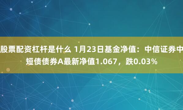 股票配资杠杆是什么 1月23日基金净值：中信证券中短债债券A最新净值1.067，跌0.03%