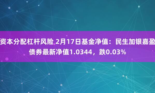 资本分配杠杆风险 2月17日基金净值：民生加银嘉盈债券最新净值1.0344，跌0.03%