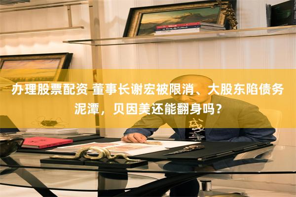 办理股票配资 董事长谢宏被限消、大股东陷债务泥潭，贝因美还能翻身吗？